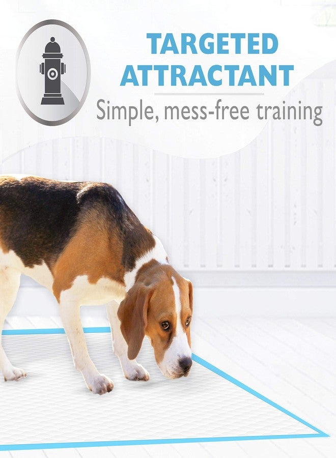 Four Paws Wee-Wee Super Absorbent Dog Housebreaking Pads, 10 Ct - Image 3